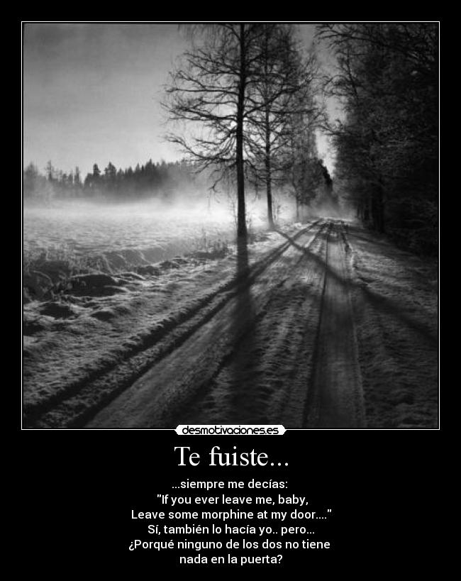 Te fuiste... - ...siempre me decías:
If you ever leave me, baby,
Leave some morphine at my door....
Sí, también lo hacía yo.. pero...
¿Porqué ninguno de los dos no tiene
nada en la puerta?