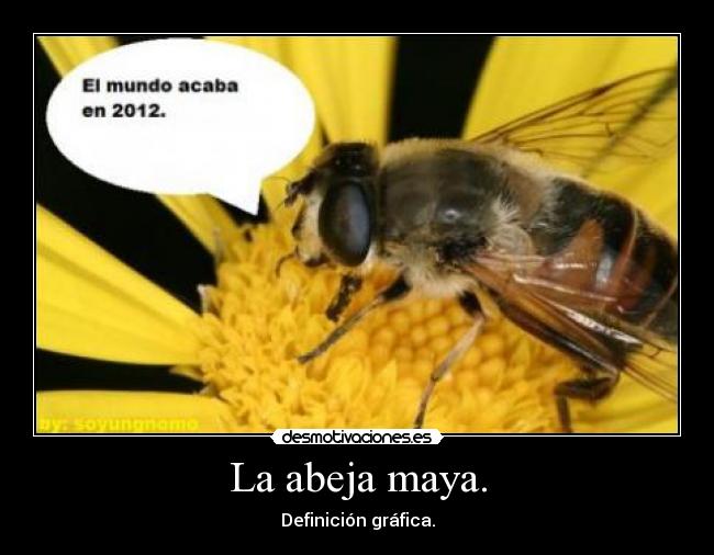 La abeja maya. - Definición gráfica.