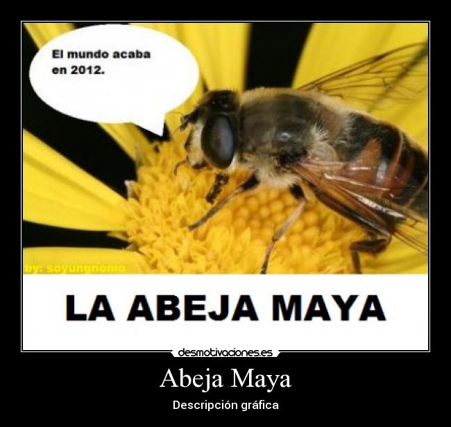 Abeja Maya - Descripción gráfica