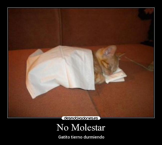 No Molestar - 