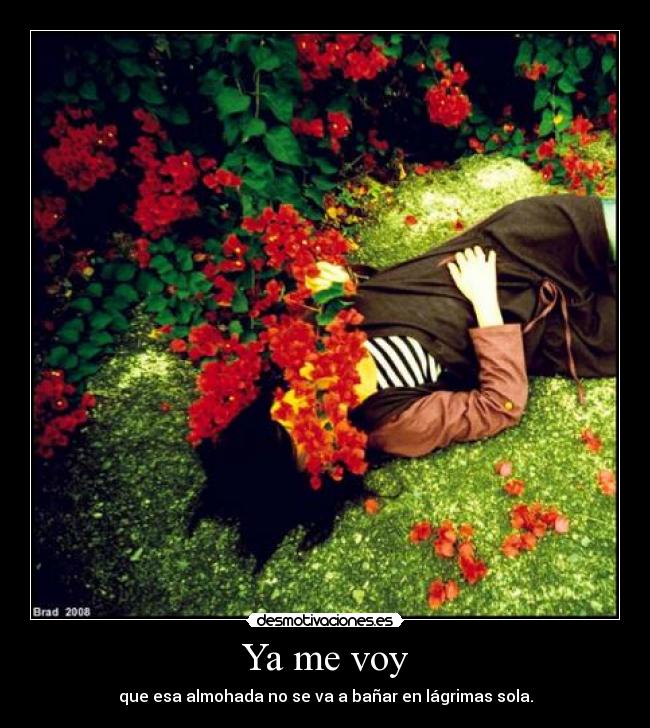 Ya me voy - que esa almohada no se va a bañar en lágrimas sola.