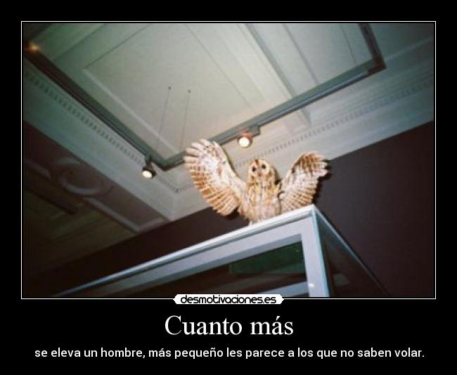 Cuanto más - se eleva un hombre, más pequeño les parece a los que no saben volar.