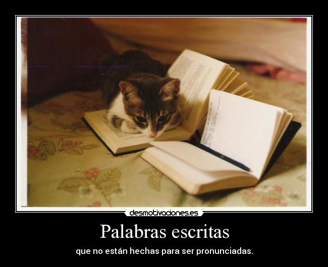 Palabras escritas -