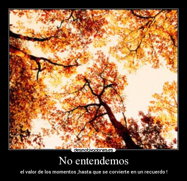 No entendemos - el valor de los momentos ,hasta que se corvierte en un recuerdo !