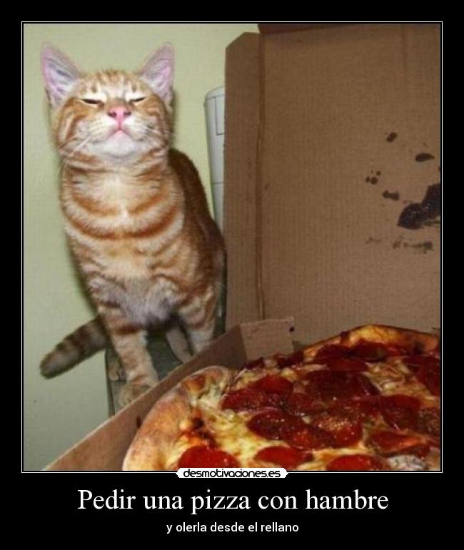 carteles mmmh oler gatospizza hambre desmotivaciones