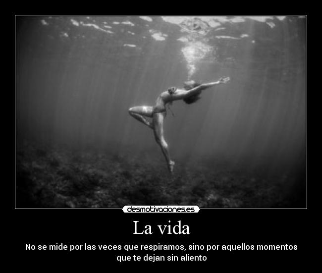 La vida -