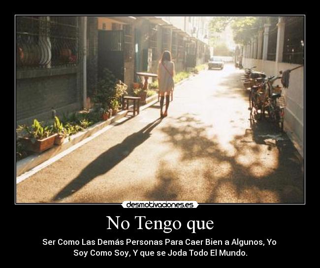 carteles soy como soy desmotivaciones