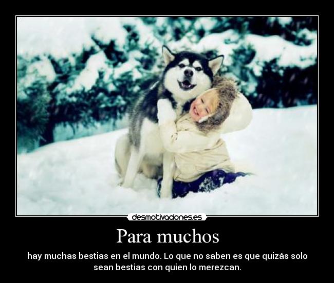 Para muchos - hay muchas bestias en el mundo. Lo que no saben es que quizás solo
sean bestias con quien lo merezcan.