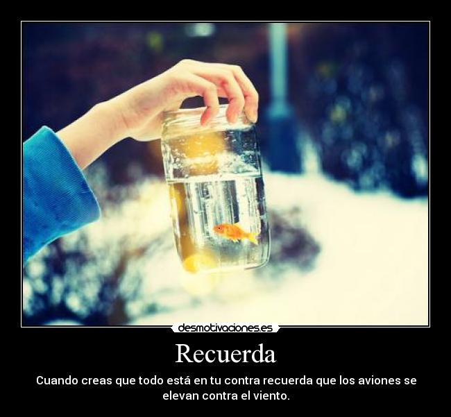 Recuerda - Cuando creas que todo está en tu contra recuerda que los aviones se
elevan contra el viento.