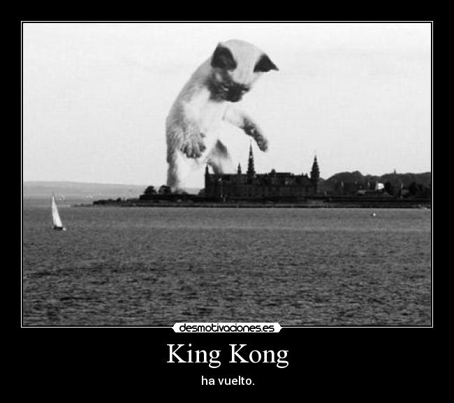 King Kong -
