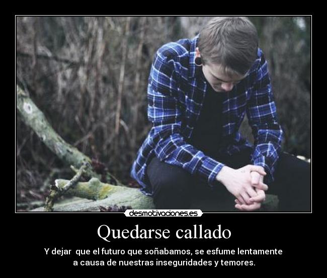 carteles quedarse callado desmotivaciones