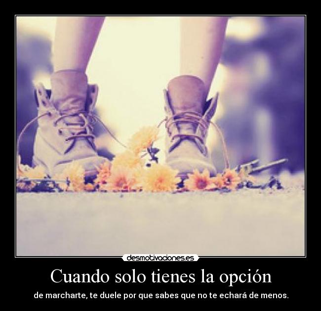 Cuando solo tienes la opción - 
