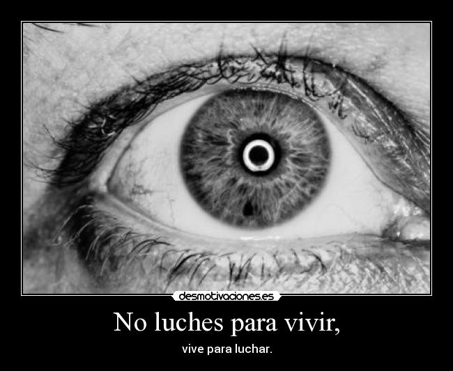 carteles nunca cogeras muaahahahhahahhahahahahahhahah desmotivaciones