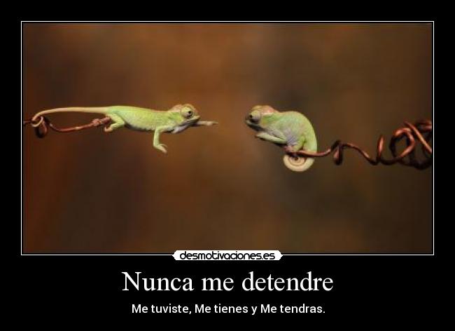 Nunca me detendre - Me tuviste, Me tienes y Me tendras.