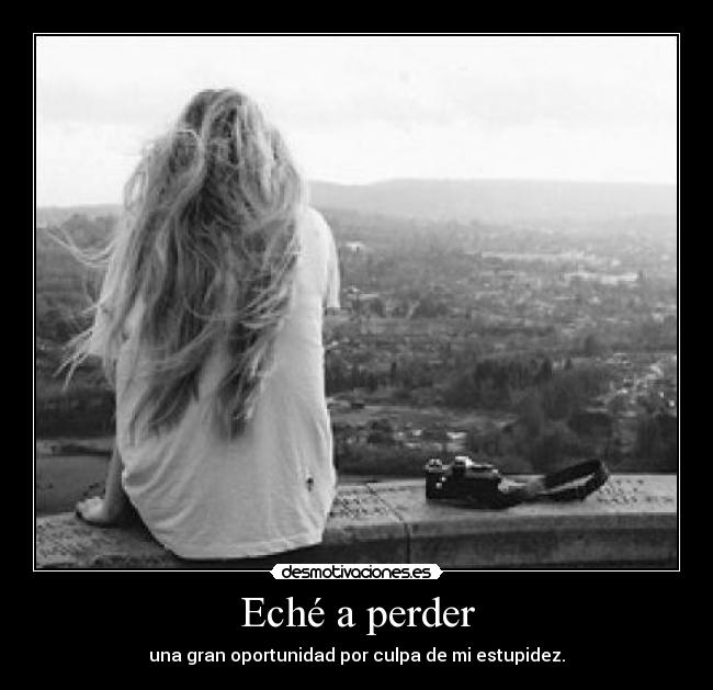 Eché a perder - una gran oportunidad por culpa de mi estupidez.