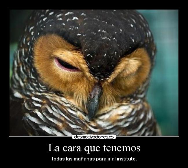 La cara que tenemos - todas las mañanas para ir al instituto.