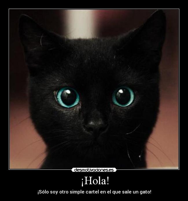 ¡Hola! - ¡Sólo soy otro simple cartel en el que sale un gato!