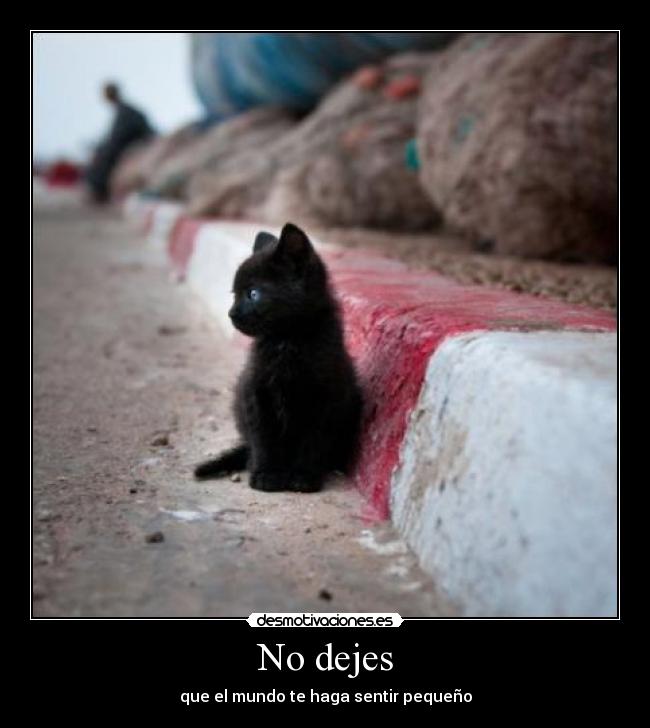 No dejes -