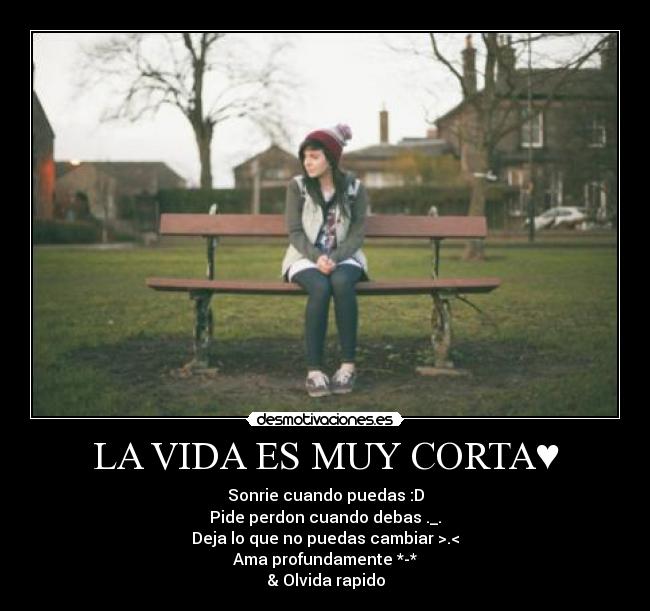 carteles vida vida desmotivaciones