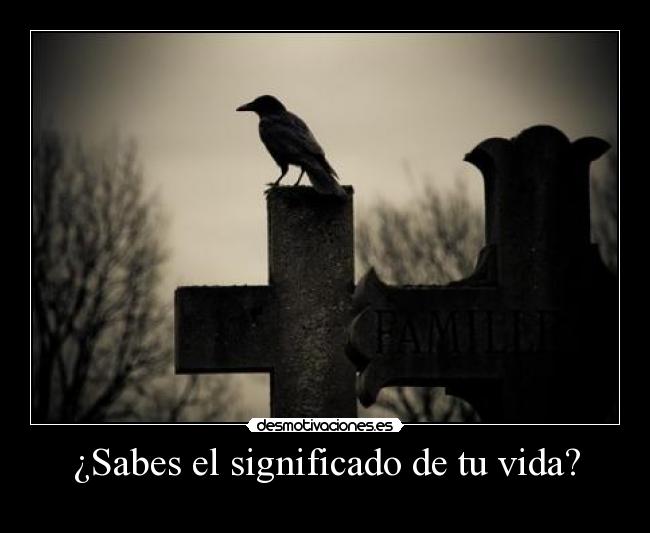 ¿Sabes el significado de tu vida? -