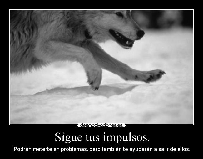 carteles esta noche voy divertirme muahahahahaha las gaviotas qieren viva los albertosaurus desmotivaciones