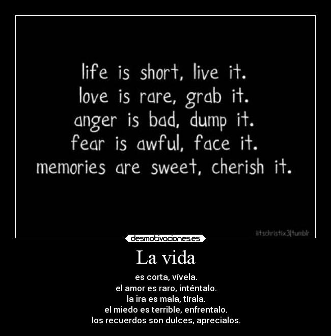 La vida - es corta, vívela.
el amor es raro, inténtalo.
la ira es mala, tírala.
el miedo es terrible, enfrentalo.
los recuerdos son dulces, aprecialos.