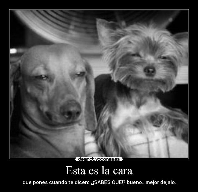 Esta es la cara - 