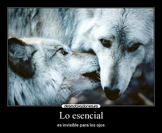 carteles stephy alvarado desmotivaciones