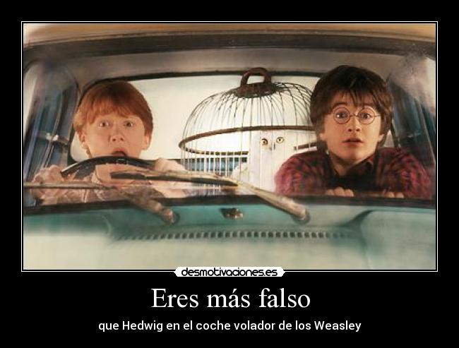 carteles hedwig coche volador cara muneco falsa ojos harry potter ron weasley desmotivaciones
