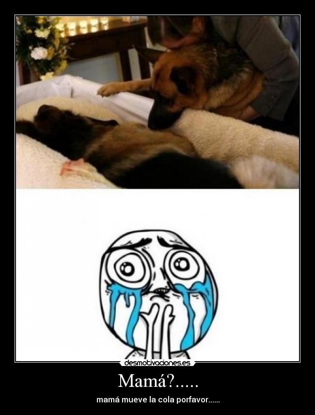 Mamá?..... - 