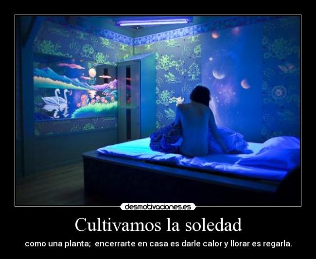 Cultivamos la soledad - como una planta; encerrarte en casa es darle calor y llorar es regarla.