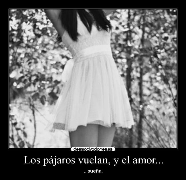 Los pájaros vuelan, y el amor... - 