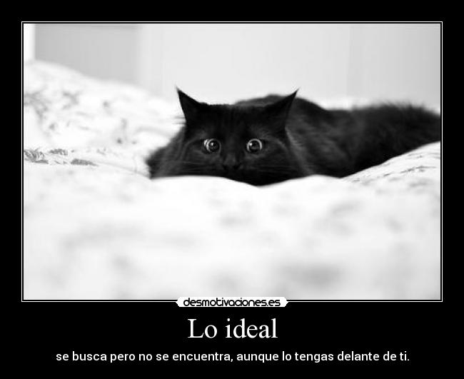 Lo ideal - 