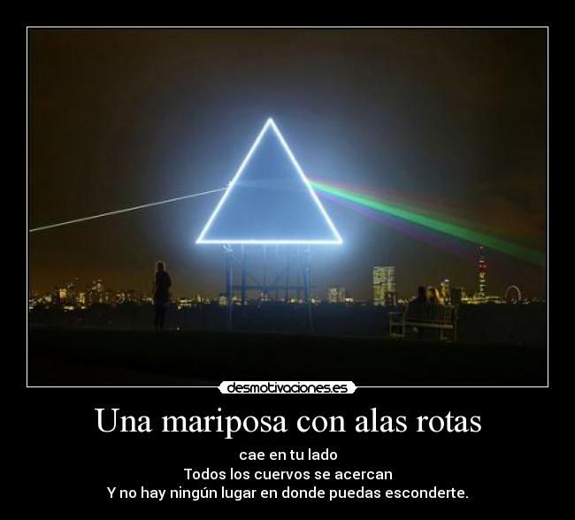 Una mariposa con alas rotas -