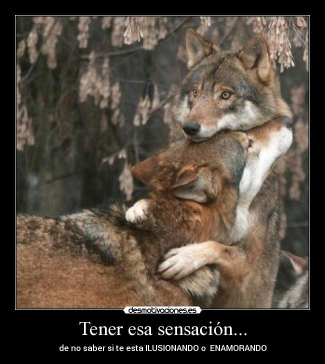 Tener esa sensación... -