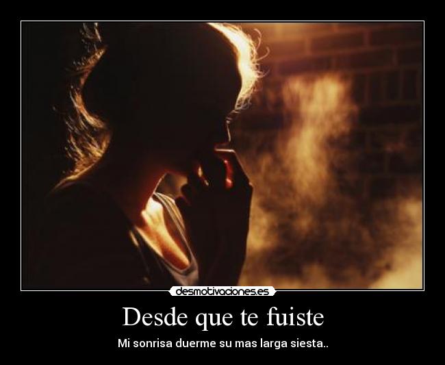 carteles desde que fuiste rio desmotivaciones