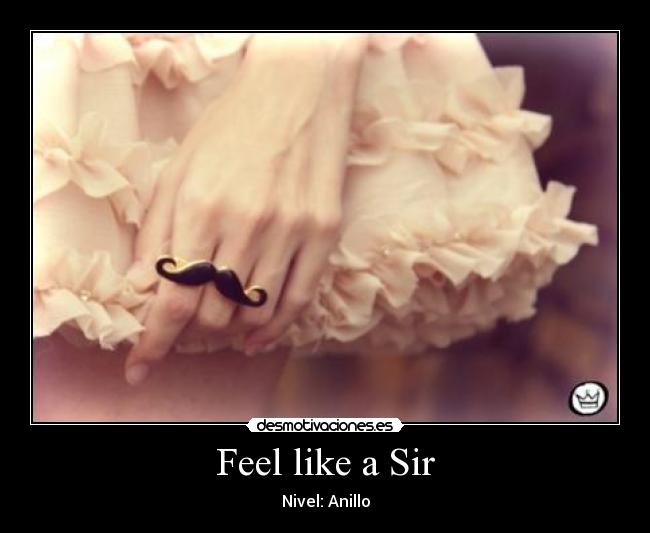 Feel like a Sir - 