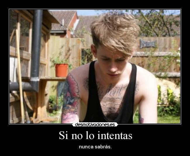 Si no lo intentas - nunca sabrás.