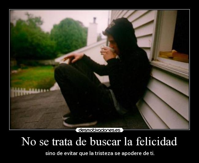 No se trata de buscar la felicidad -