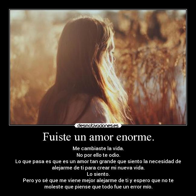 Fuiste un amor enorme. - Me cambiaste la vida.
No por ello te odio.
Lo que pasa es que es un amor tan grande que siento la necesidad de
alejarme de ti para crear mi nueva vida.
Lo siento.
Pero yo sé que me viene mejor alejarme de ti y espero que no te
moleste que piense que todo fue un error mío.