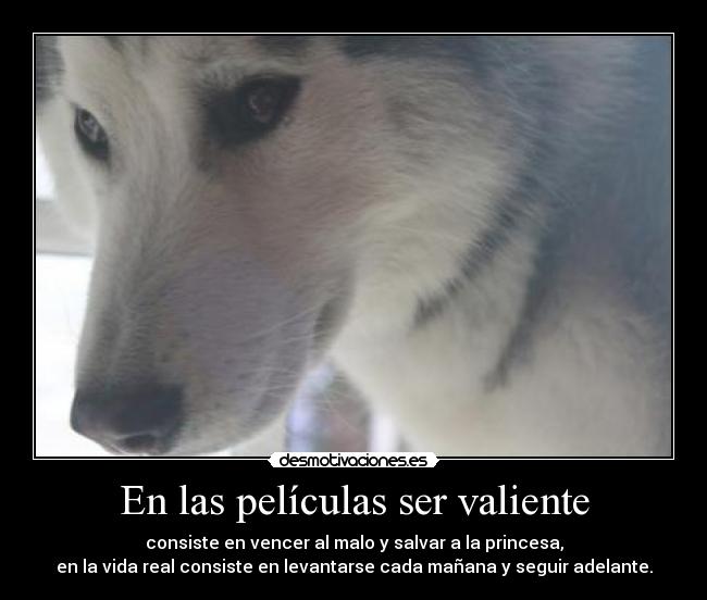 En las películas ser valiente - consiste en vencer al malo y salvar a la princesa,
en la vida real consiste en levantarse cada mañana y seguir adelante.
