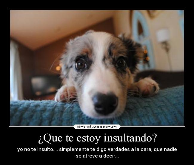 ¿Que te estoy insultando? - yo no te insulto.... simplemente te digo verdades a la cara, que nadie se atreve a decir...