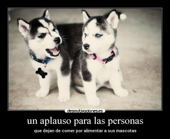 un aplauso para las personas -