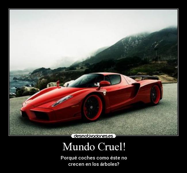 Mundo Cruel! - Porqué coches como éste no
crecen en los árboles?