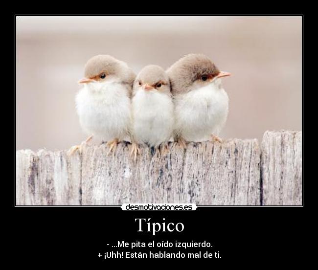 Típico - - ...Me pita el oído izquierdo.
+ ¡Uhh! Están hablando mal de ti.