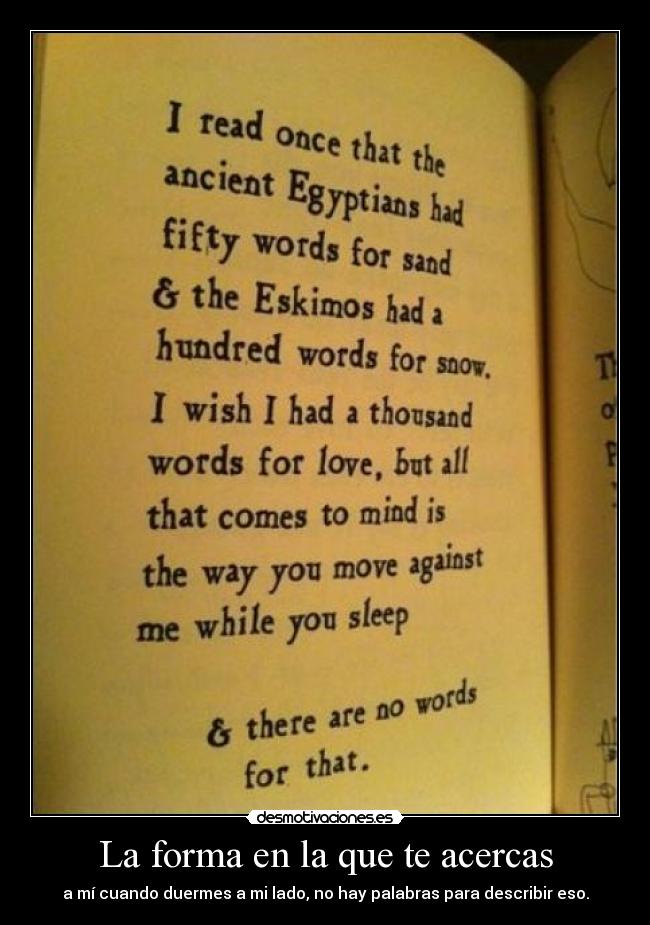 carteles scatty amor desmotivaciones