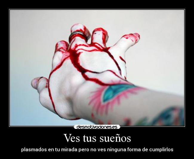 Ves tus sueños - 