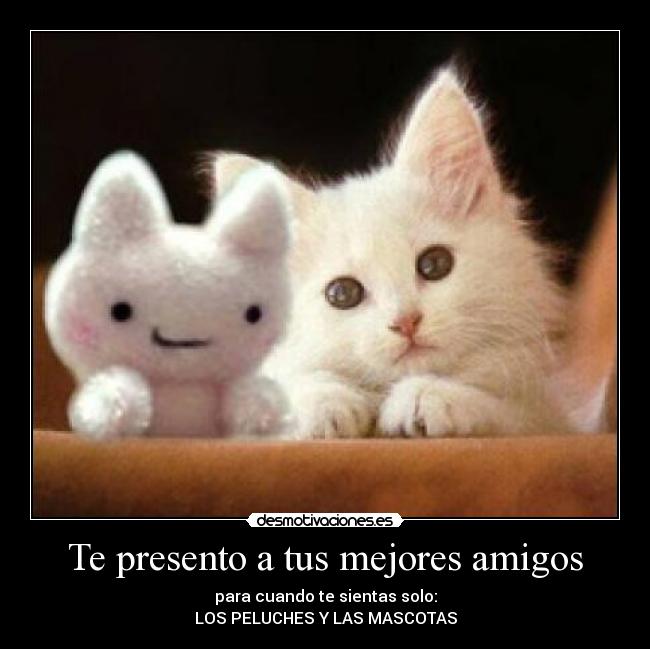 Te presento a tus mejores amigos - para cuando te sientas solo:
LOS PELUCHES Y LAS MASCOTAS