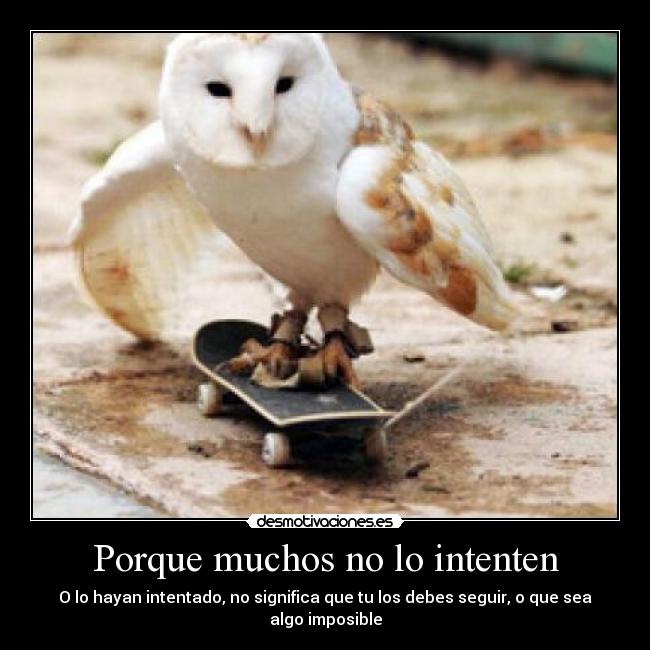 Porque muchos no lo intenten - 