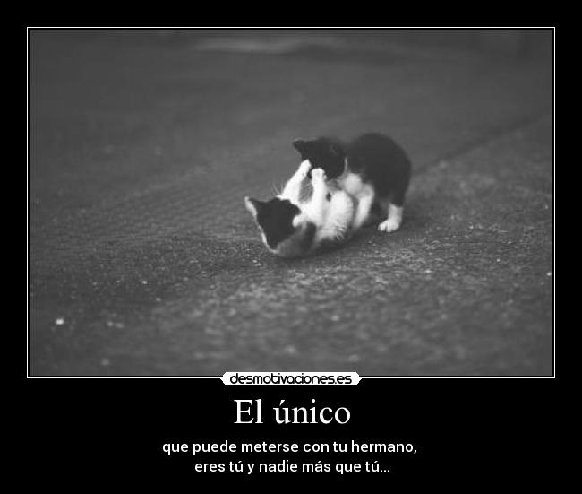 El único - 